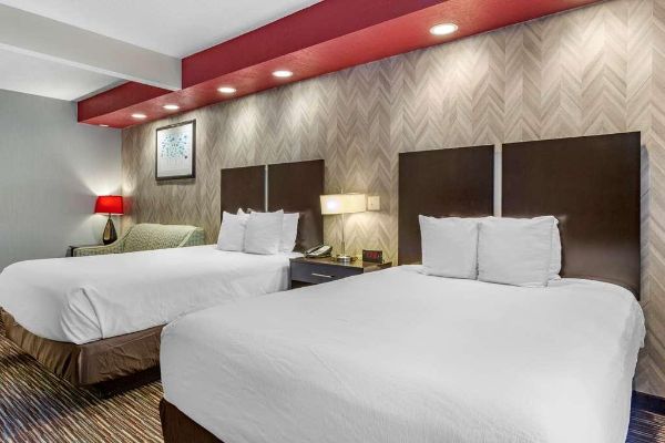 BEST WESTERN PLUS GALLUP INN (Gallup)